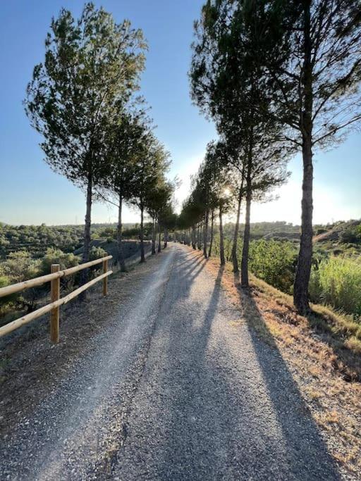 Apto. Rural Cielo. Al Lado Torre Jérica Exterior foto